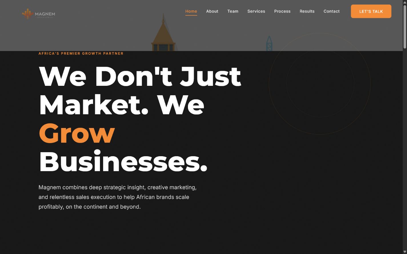 Live website screenshot of Magnem Group Africa